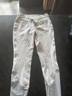 Samshield wedstrijdbroek maat 38, Dieren en Toebehoren, Gebruikt, Springen, Dames, Onderkleding