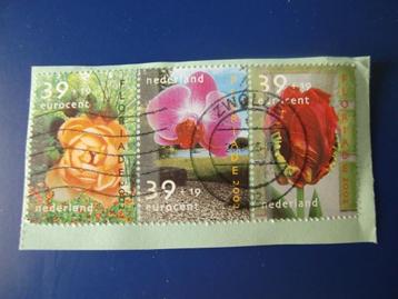 Nederland 2002 - Strip van 3x Floriade zegel op papier - ges beschikbaar voor biedingen