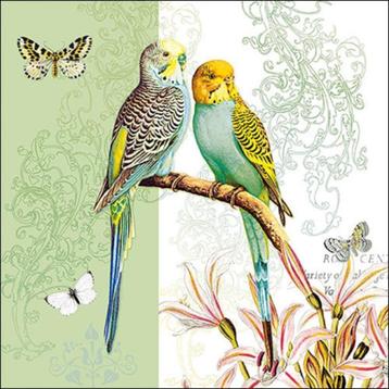 Ambiente servet budgies green 33 x 33 cm 13314315 beschikbaar voor biedingen