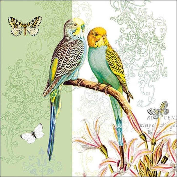 Ambiente servet budgies green 33 x 33 cm 13314315, Hobby en Vrije tijd, Knutselen, Nieuw, Materiaal, Ophalen of Verzenden