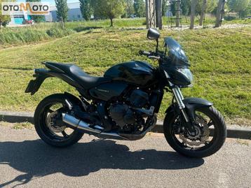 HONDA CB 600 F HORNET (bj 2009) beschikbaar voor biedingen