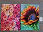 Set 3 BLOEMEN PLANTEN kaarten postcrossing nieuw, Verzamelen, Ophalen, 1980 tot heden