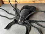 Honden spinnenpak Halloween, Ophalen of Verzenden