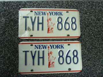 Paar USA License plate / kentekenplaten New York Liberty USA beschikbaar voor biedingen