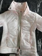 Wintersport jas. Airforce jack . Ski jas., Ophalen of Verzenden, Zo goed als nieuw, Maat 34 (XS) of kleiner, Jack