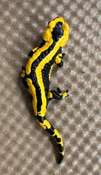 Vuursalamander, Dieren en Toebehoren, Reptielen en Amfibieën, Amfibie, 0 tot 2 jaar