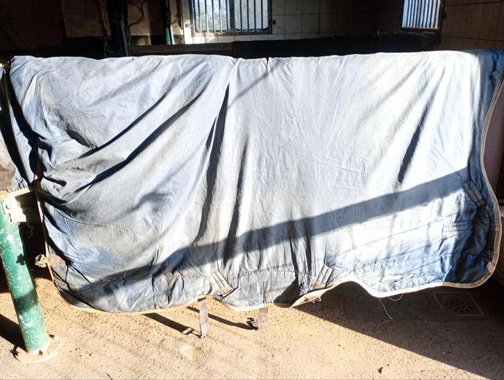 Rhino wug, Dieren en Toebehoren, Paarden en Pony's | Dekens en Dekjes, Gebruikt, Ophalen of Verzenden