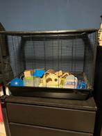 Hamster/chinchilla kooi, Minder dan 60 cm, Kooi, Gebruikt, Minder dan 75 cm