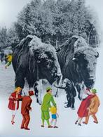 Oude uitgave Diergaarde Blijdorp Rotterdam, Boeken, Verzenden