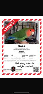 Vermist!!, Dieren en Toebehoren, Vermiste en Gevonden Dieren