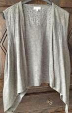 Groene hes, gilet; L / XL; Gina Laura; broderie open boven, Ophalen of Verzenden, Zo goed als nieuw, Maat 42/44 (L), Groen