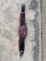 CWD singel te koop, Dieren en Toebehoren, Ophalen of Verzenden, Zo goed als nieuw, Springen