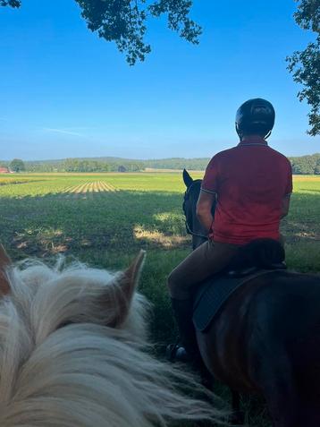 Buitenritten, paardrijden , bosritten Achterhoek  beschikbaar voor biedingen