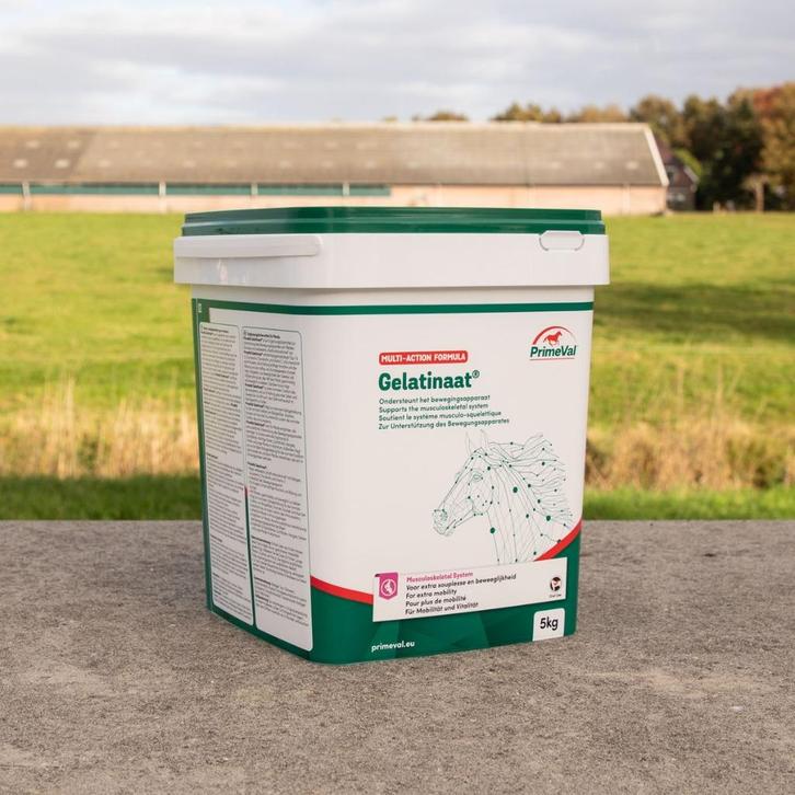 Primeval Gelatinaat voor paard en pony 5 kilo, Dieren en Toebehoren, Paarden en Pony's | Overige Paardenspullen, Nieuw, Overige soorten