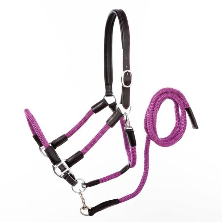 Kavalkade Halsterset Cavo, Dieren en Toebehoren, Paarden en Pony's | Hoofdstellen en Tuigage, Nieuw, Ophalen of Verzenden