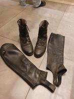 Chaps(Ariat) en Jodhpurs(harry's horse, maat 40), Gebruikt, Ophalen of Verzenden, Dames, Schoeisel