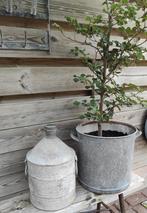 Zinken olievat / ton / olieton / tuindecoratie, Antiek en Kunst, Ophalen of Verzenden