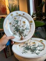 Villeroy & Boch Botanica plate - Anthemis Tinctoria, Antiek en Kunst, Antiek | Servies los, Verzenden
