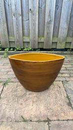 Oker kleurige planter, Ophalen, Steen, Minder dan 60 cm, Rond