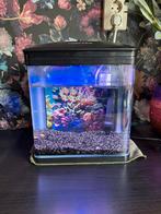 Nano aquarium 8 liter, Dieren en Toebehoren, Vissen | Aquaria en Toebehoren, Ophalen of Verzenden, Zo goed als nieuw, Leeg aquarium