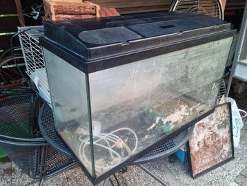 Keurig zeer ruim aquarium 80 x 40cm inclusief toebehoren ! beschikbaar voor biedingen