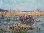 Rietland bij Voorschoten Aad Matthijsen  1984, Antiek en Kunst, Ophalen of Verzenden