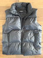 Bodywarmer dsquared2 maat 14 (origineel), Kleding | Heren, Bodywarmers, Ophalen, Dsquared2, Zwart, Overige maten