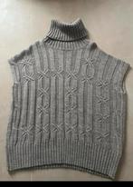 Spencer/trui Massimo Dutti nieuw!, Ophalen of Verzenden, Nieuw