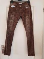 # Leopard Broek - Maat 38, Maat 38/40 (M), Bruin, Ophalen of Verzenden, Zo goed als nieuw