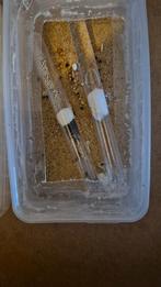 Messor barbarus mieren kolonie 1q en 35 - 45 werksters