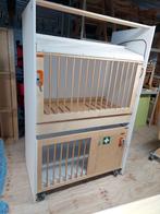 2x Kids-F hoogslaper + evacuatiebed / kinderopvangbed NIEUW!, Ophalen of Verzenden, Nieuw, Stapelbed