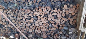 APPELHOUT, EIKENHOUT, HAARDHOUT, BRANDHOUT, HOTTUB beschikbaar voor biedingen