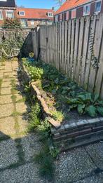 Gratis zwarte grond, border, klinkers, Ophalen, Tuinaarde