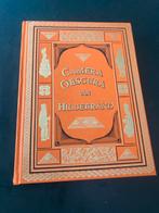 Camera Obscura - Hildebrand - 1988 Nicolaas Beets, Boeken, Gelezen, Ophalen of Verzenden, Nederland, Hildebrand