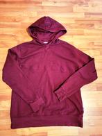Efteling hoodie, trui, sweater, bordeaux, winterefteling xl, Maat 56/58 (XL), Ophalen of Verzenden, Efteling, Gedragen