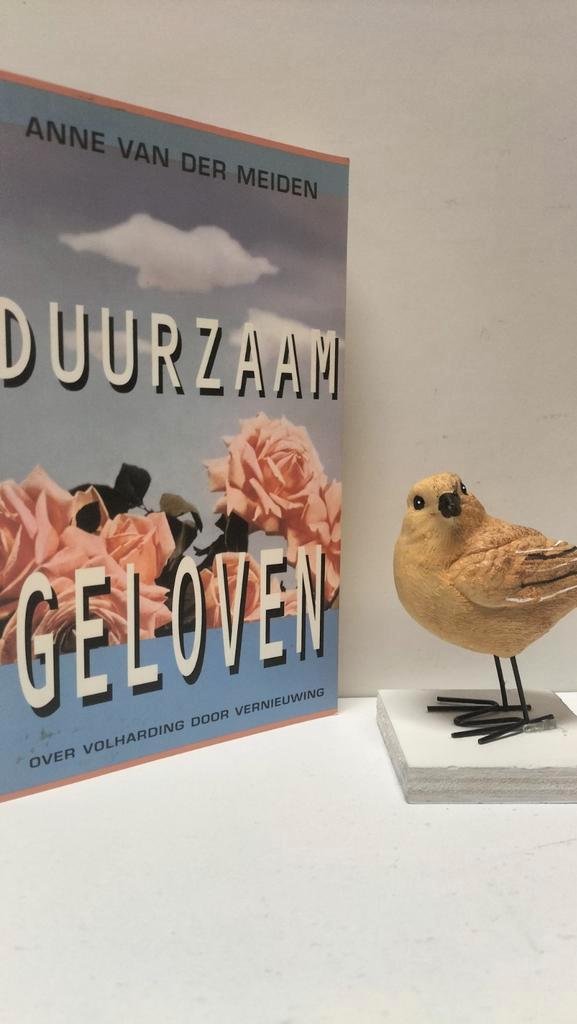 Meiden, Anne van der; Duurzaam geloven, Boeken, Godsdienst en Theologie, Gelezen, Christendom | Protestants, Ophalen of Verzenden