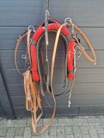 Compleet dravers tuig, Ophalen of Verzenden, Gebruikt, Overige soorten