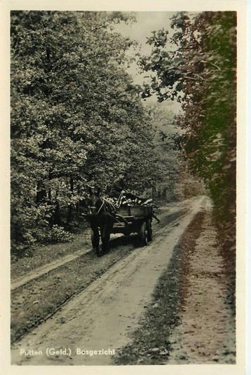 (387-101-007) Putten Bosgezicht beschikbaar voor biedingen