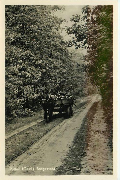 (387-101-007) Putten Bosgezicht, Verzamelen, Ansichtkaarten | Nederland, Gelderland, Verzenden