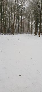 Hulp advies begeleiding, Ophalen of Verzenden, Zo goed als nieuw