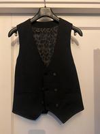 Double breasted gilet, Ophalen of Verzenden, Zo goed als nieuw, Grijs, Avba
