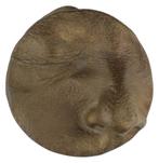 Caspar Berger - Penning VPK, 2010 : Vera Icon Zelfportret 10, Verzenden, Brons, Nederland