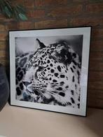 2 lijsten 50x50 cm, Huis en Inrichting, Woonaccessoires | Lijsten, Ophalen, Zo goed als nieuw, Hout, 50 tot 75 cm