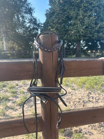 Hoofdstel harryshorse maat pony beschikbaar voor biedingen