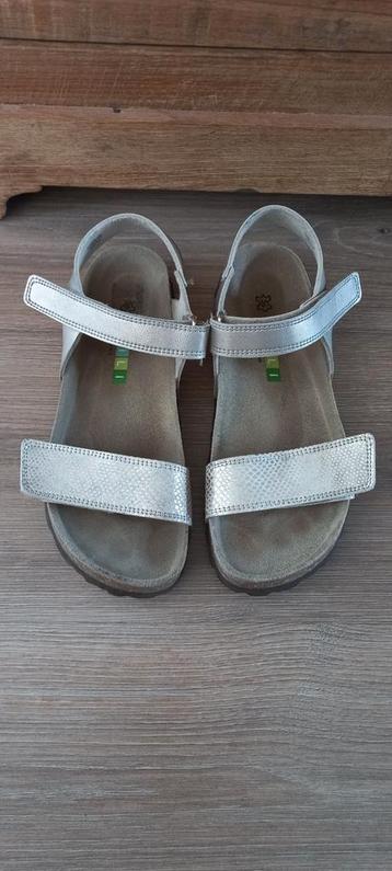 Chili sandalen beschikbaar voor biedingen