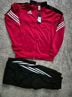 Adidas trainingpak S, Kleding | Heren, Sportkleding, Nieuw, Maat 46 (S) of kleiner, Ophalen of Verzenden, Adidas