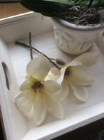 Riverdale Decoratieve Magnolia Takken 2 stuks, Huis en Inrichting, Ophalen of Verzenden, Zo goed als nieuw, Binnen