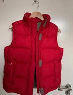 Vintage Prada Bodywarmer maat 46, Ophalen of Verzenden, Zo goed als nieuw, Prada, Rood