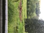 Vakwerk Boerderij en Water Molen ., Huizen en Kamers, Buitenland, Overige soorten, Duitsland, Verkoop zonder makelaar, Landelijk
