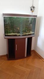 Trofis aquarium complete set, Dieren en Toebehoren, Vissen | Aquaria en Toebehoren, Ophalen, Gebruikt, Gevuld zoetwateraquarium